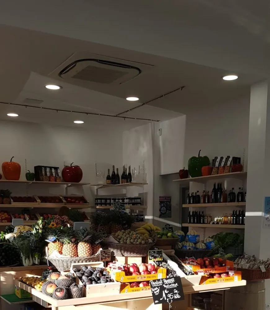 pose faux plafond pour professionnels